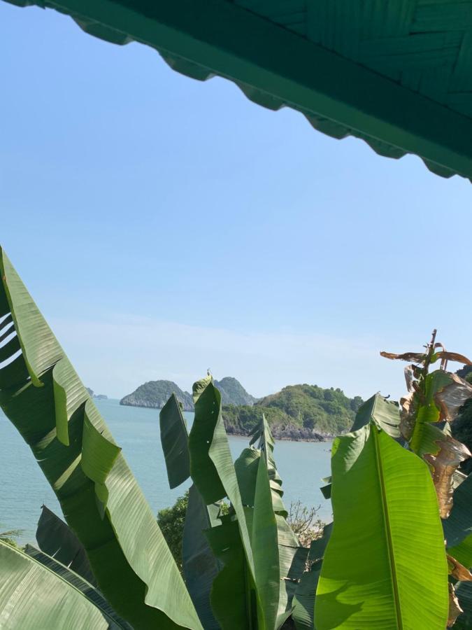 Ocean Beach Resort Cat Ba Island Buitenkant foto